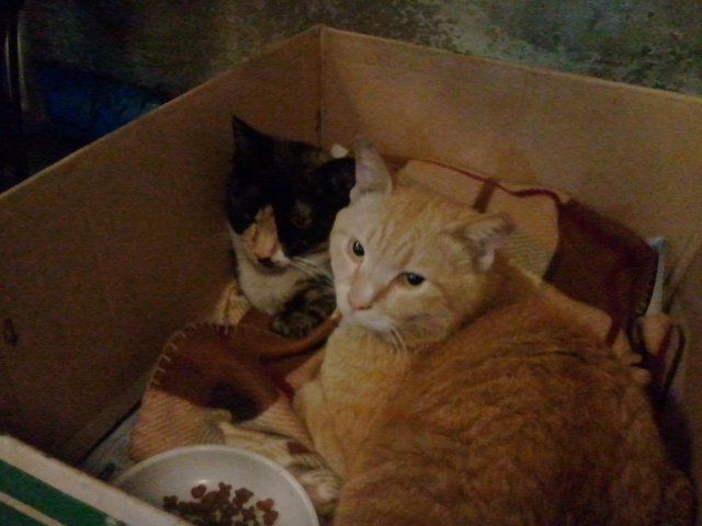 2011-05-15 23.20.54.jpg