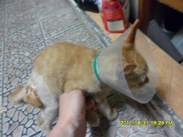 SAM_1318.JPG