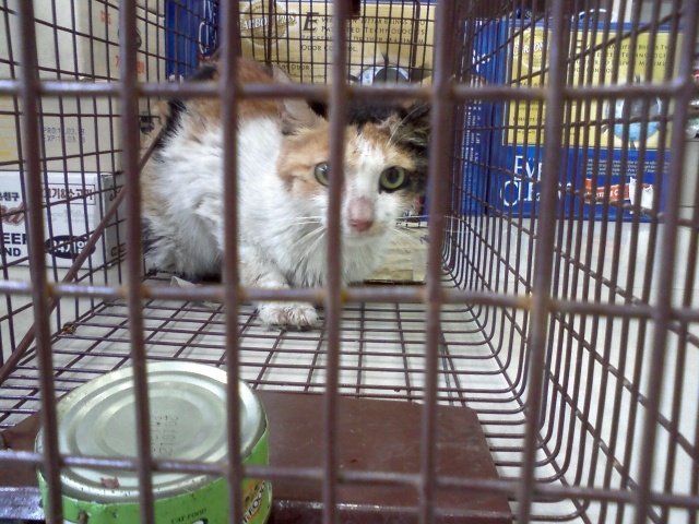 사진110713_15.jpg