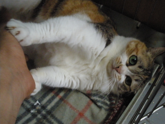 P5050053.JPG