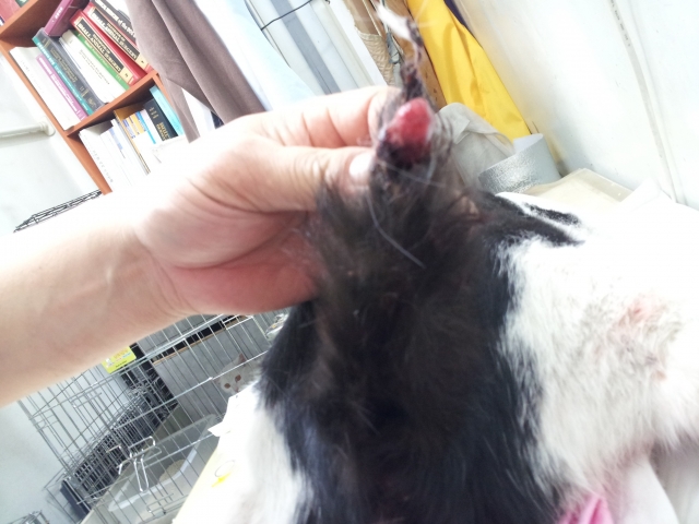 20121003_175032.jpg