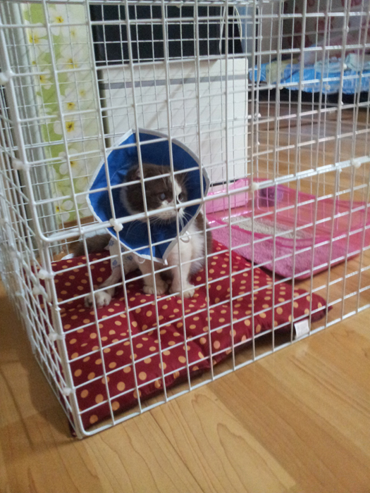 20130606_193329.jpg