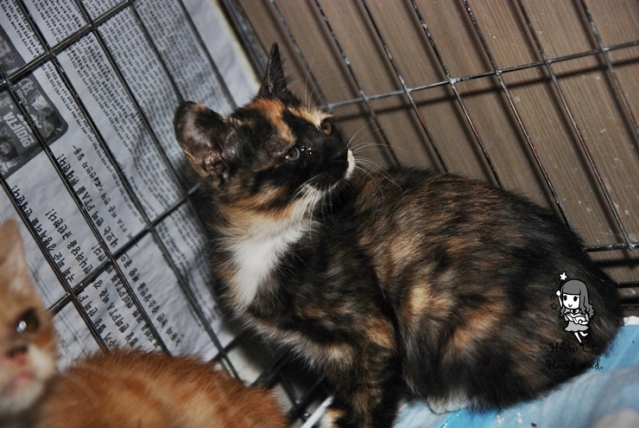 DSC_6286.JPG