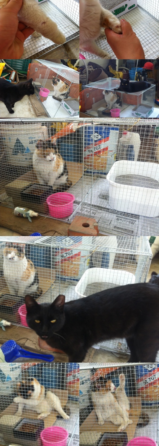 20130603181900_36622360.jpg