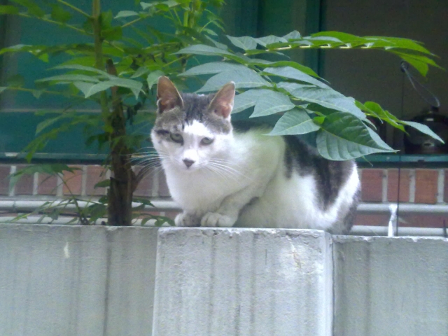 20110610043.jpg