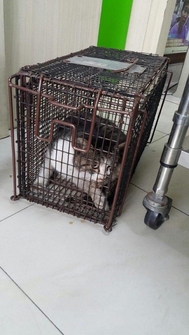 20150301_143445.jpeg