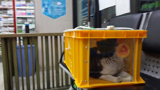 크기변환_20150406_012234.jpg