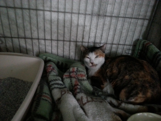 20150414_143433.jpg