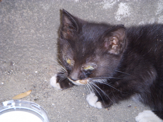 DSCN1577.JPG