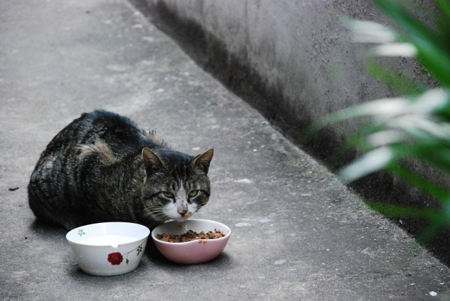 DSC_1988.JPG