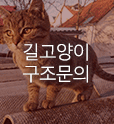 길고양이구조문의